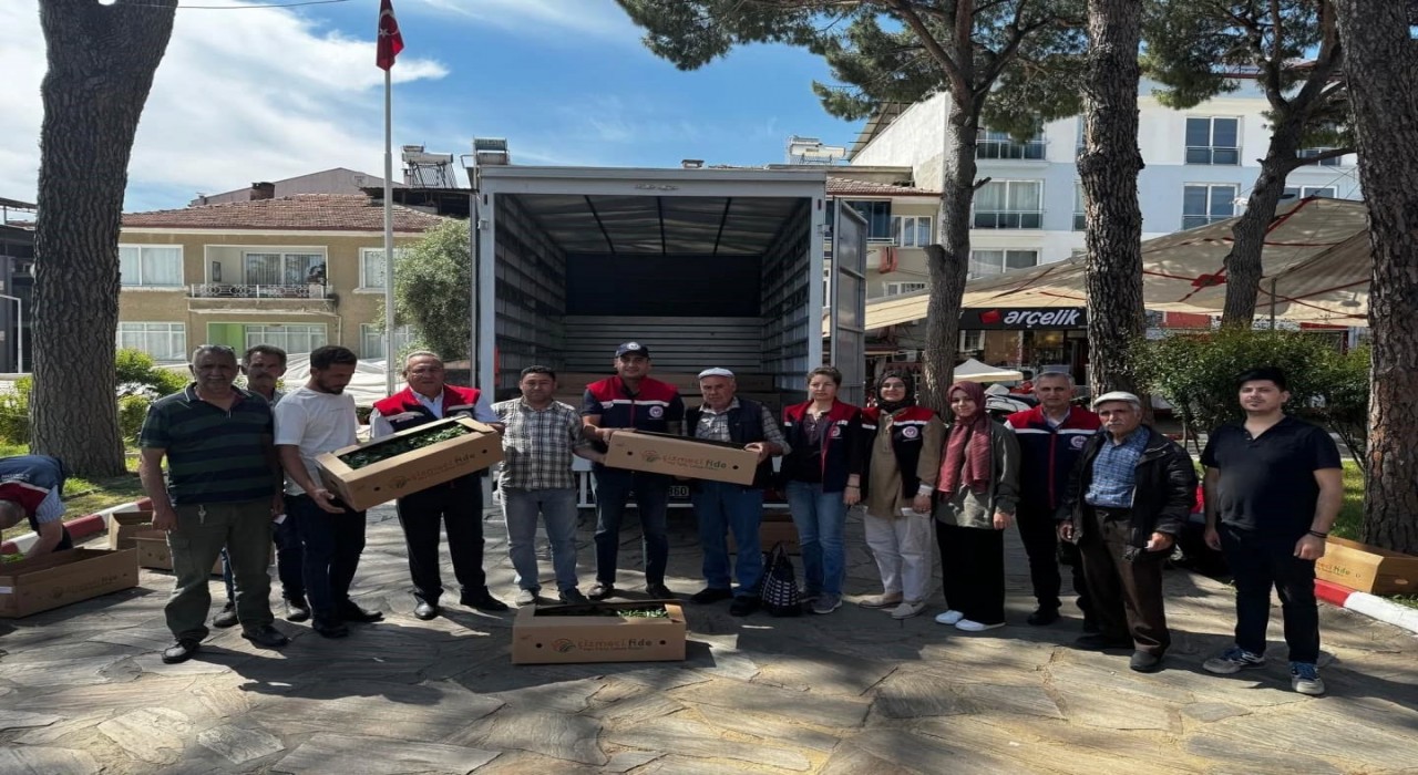 Bozdoğanda 60 bin turşuluk biber fidesi dağıtıldı