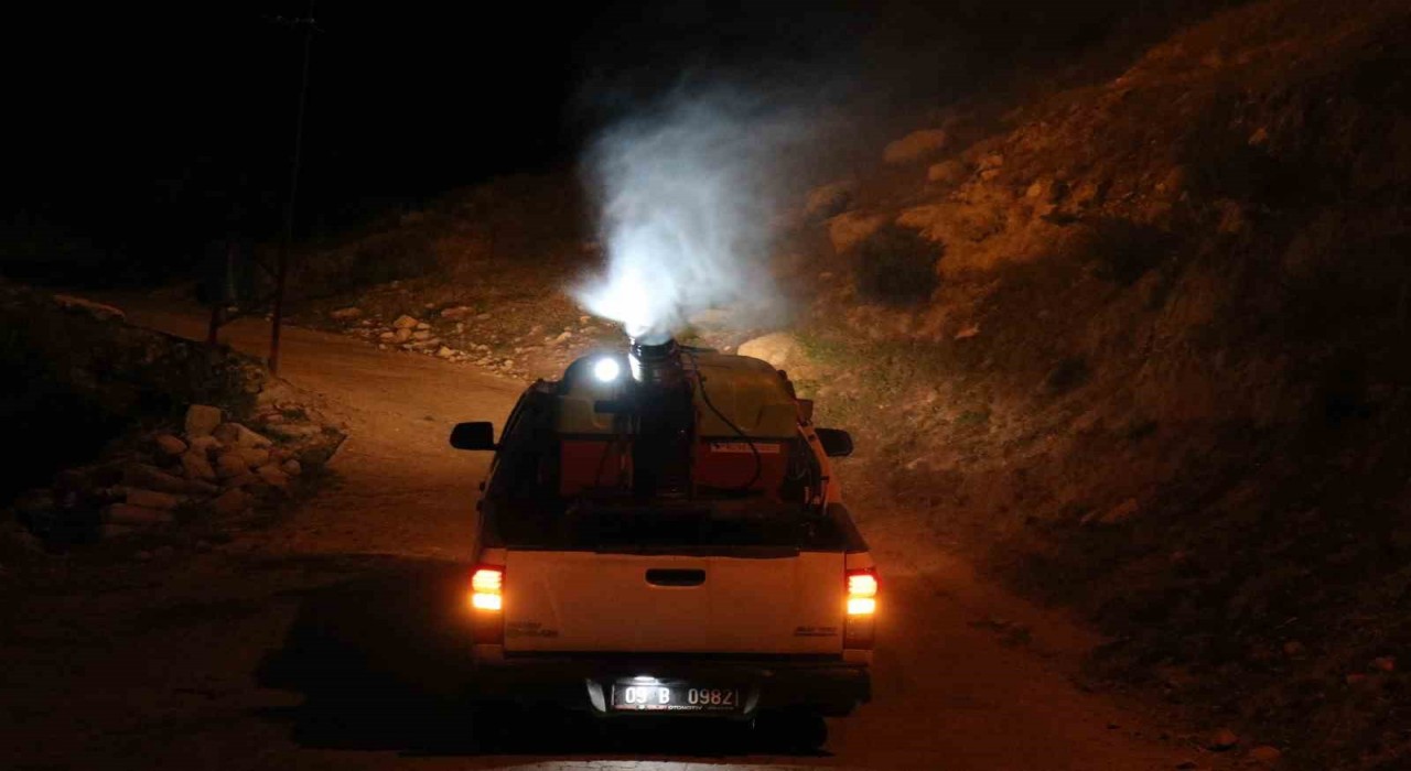 Bozdoğanda ilaçlama çalışmaları sürüyor