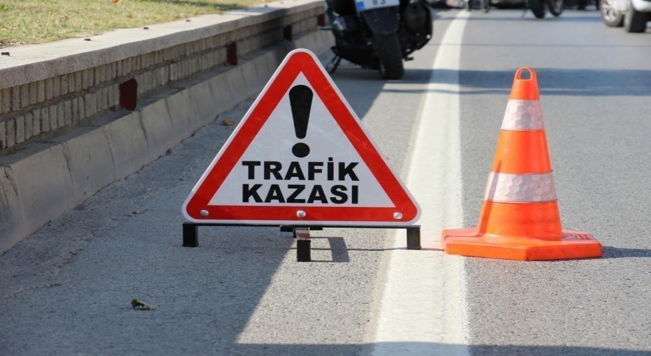 Bozdoğanda trafik kazası: 1 ölü