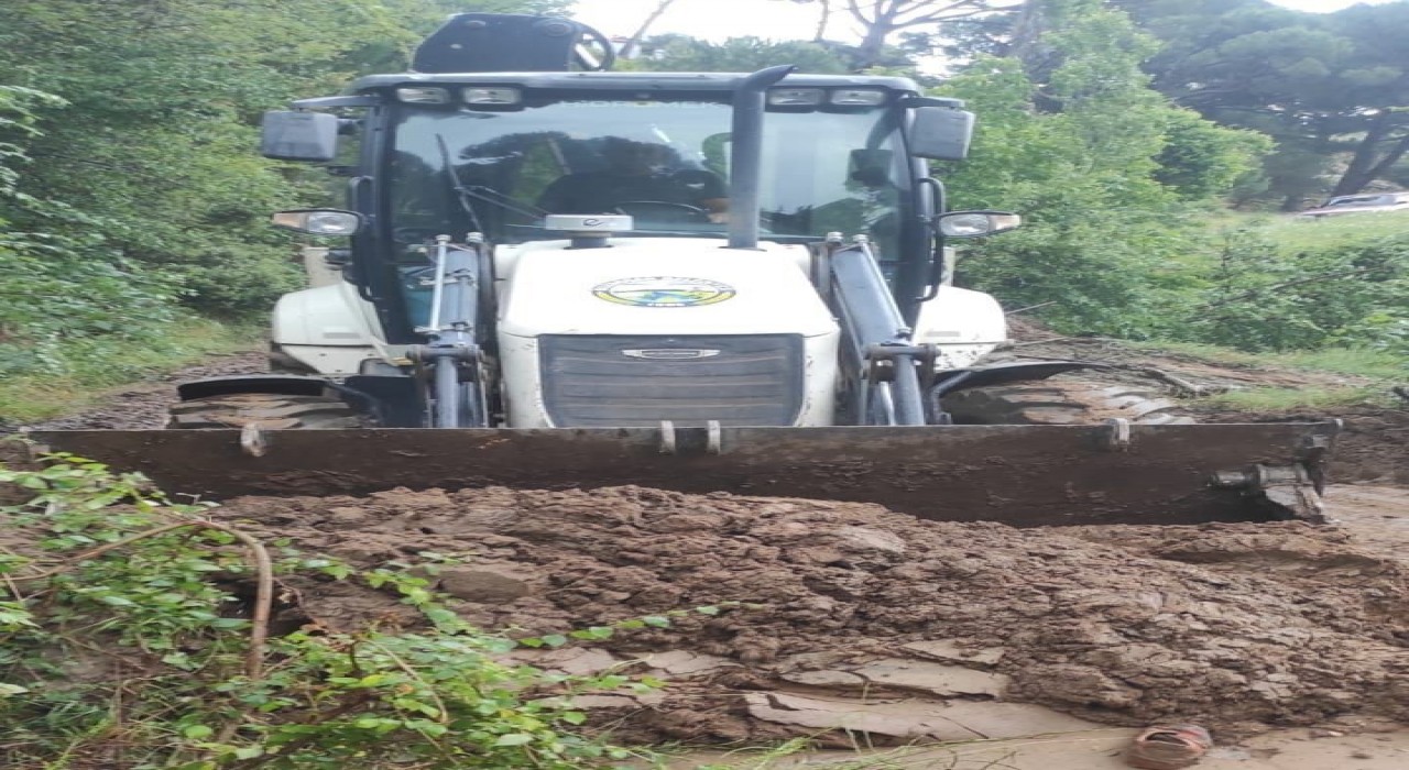 Bozdoğanda yağış nedeniyle heyelan meydana geldi