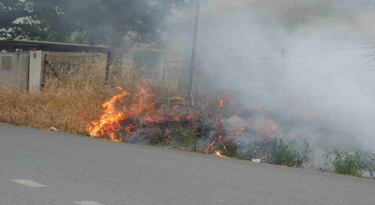 Burhaniyede ot yangını korkuttu