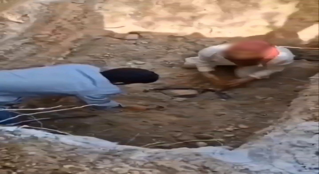 Bursada ölen köpekleri mezardan çıkarmaya çalıştılar