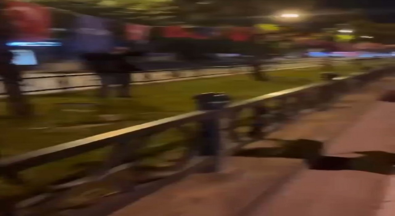 Bursada Türk bayrağını yakmaya çalışan şahıs yakalandı