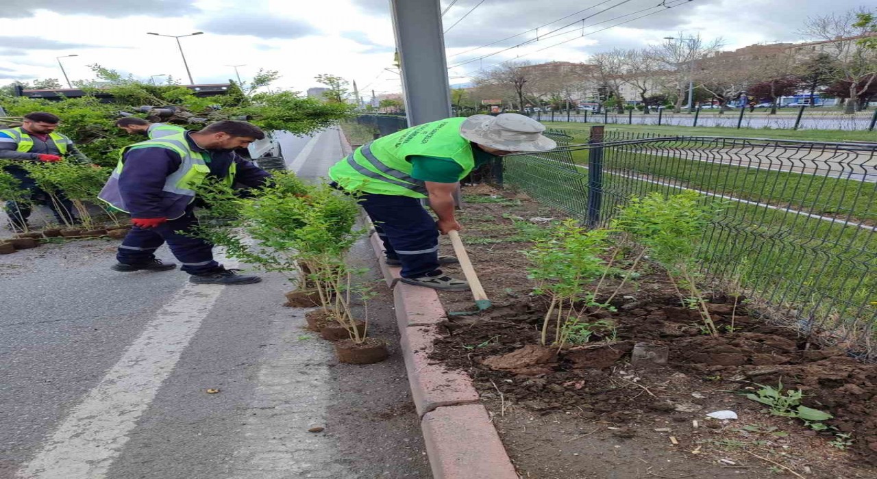 Büyükşehirden ‘doğa dostu hizmetler