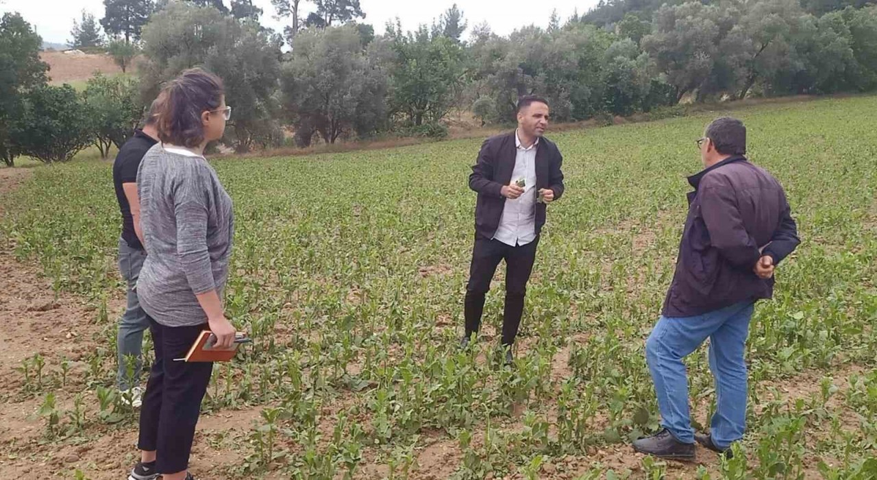 Büyükşehirden dolu afetine karşı hızlı müdahale