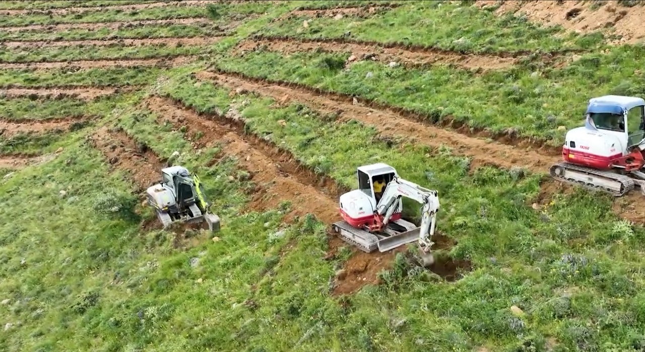 Çamardıda 227 hektarlık alanda ağaçlandırma yapıldı