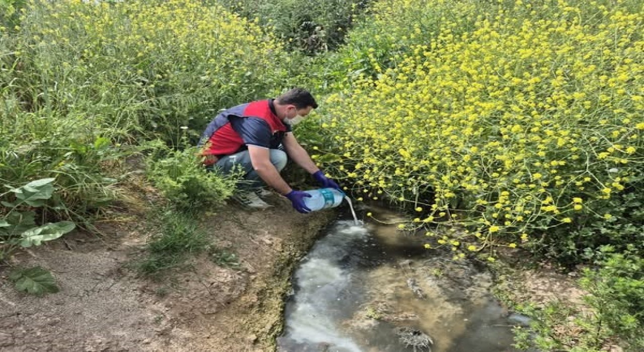 Çanakkalede çeltik ekim alanlarında sivrisinek mücadelesi başladı