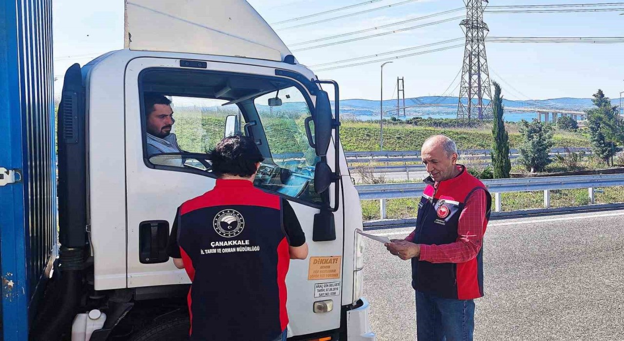 Çanakkalede kurban bayramı öncesi hayvan denetimleri devam ediyor