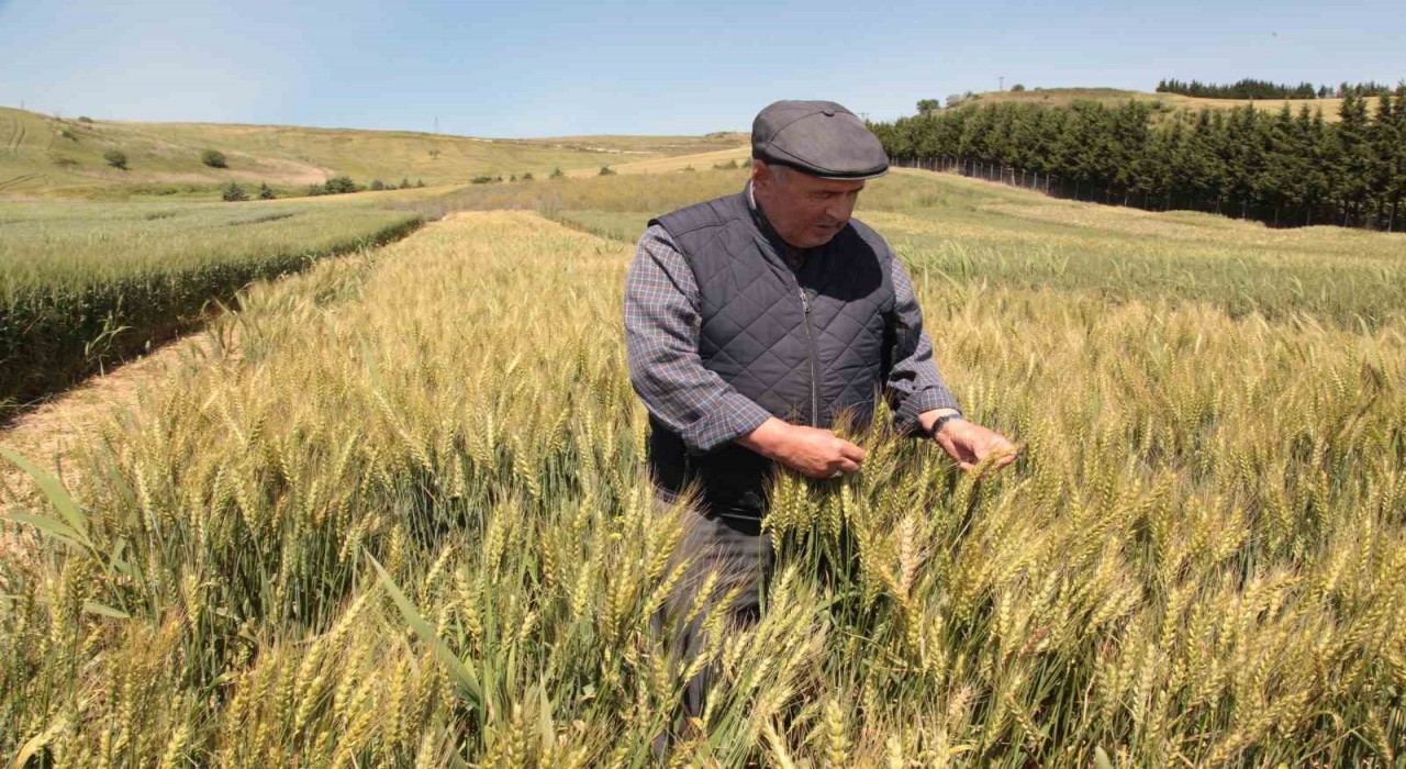 Çanakkalede tarla günü düzenlendi