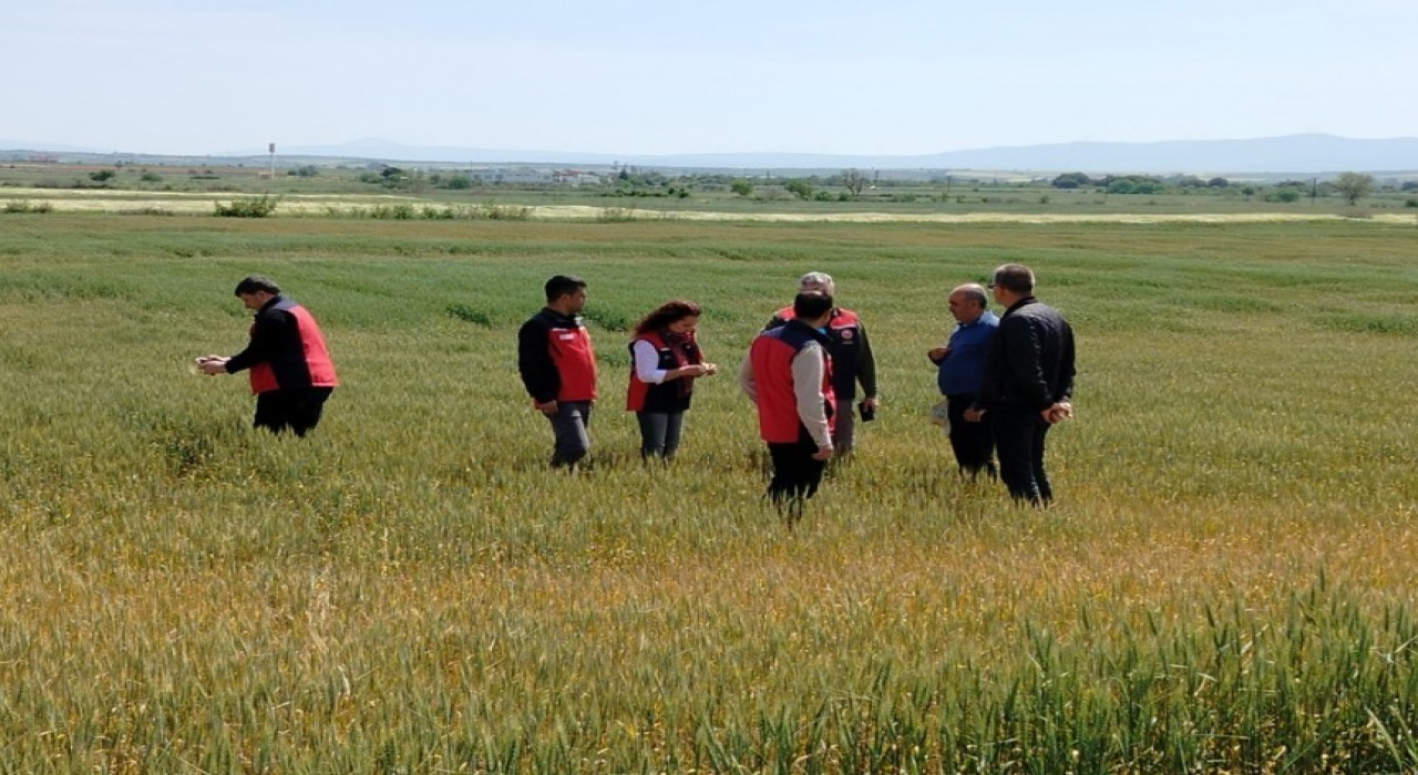 Çanakkalede üreticilerin ekili dikili alanlarında saha incelemesi yapıldı