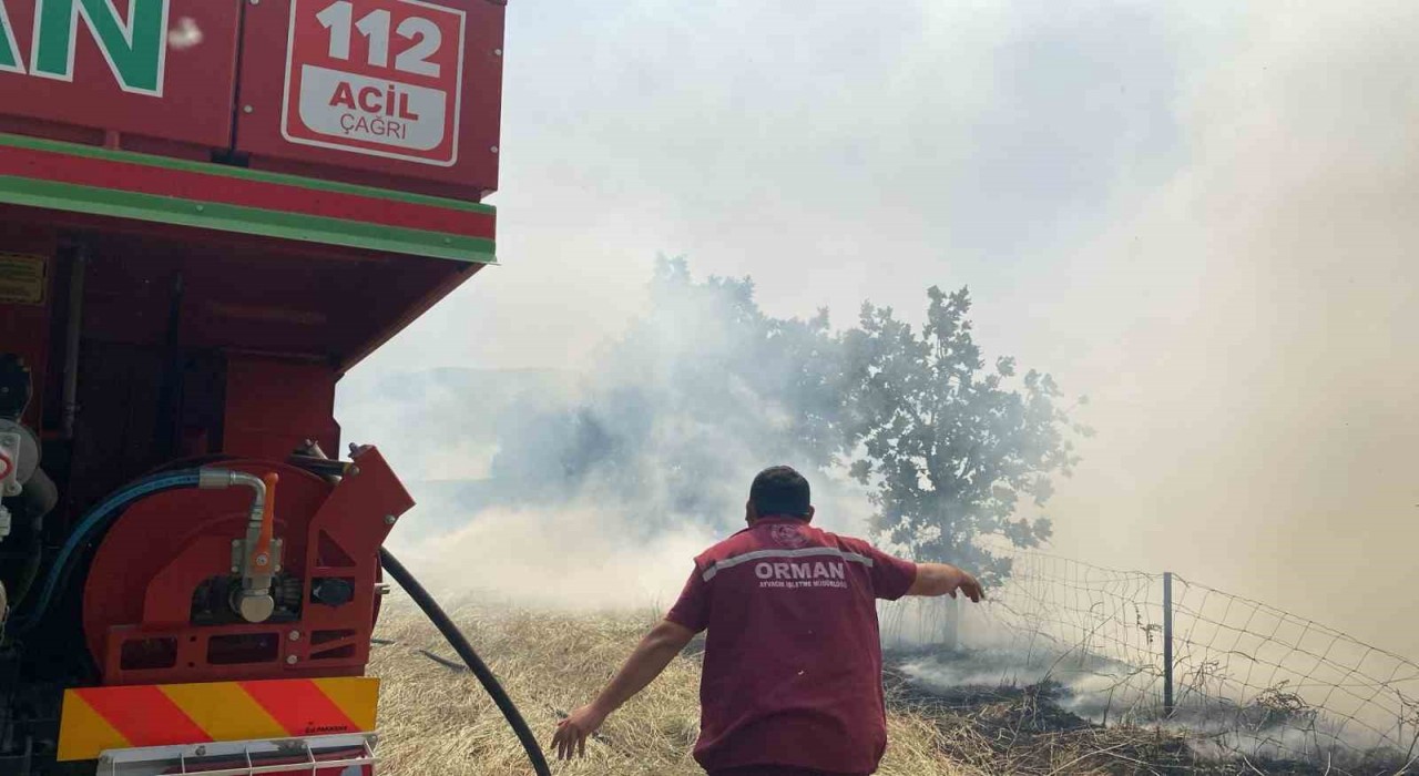 Çanakkaledeki orman yangını kontrol altına alındı