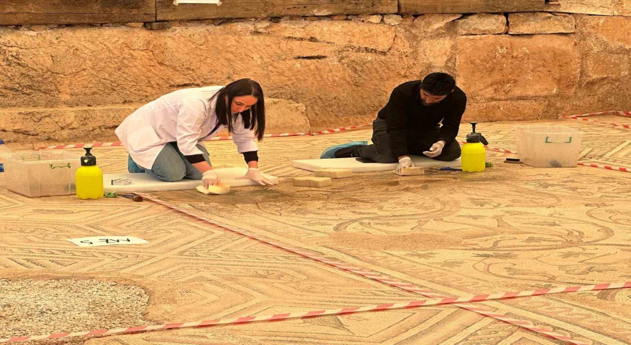 ‘Cennet Bahçesi mozaiğinde restorasyon ve konservasyon başladı