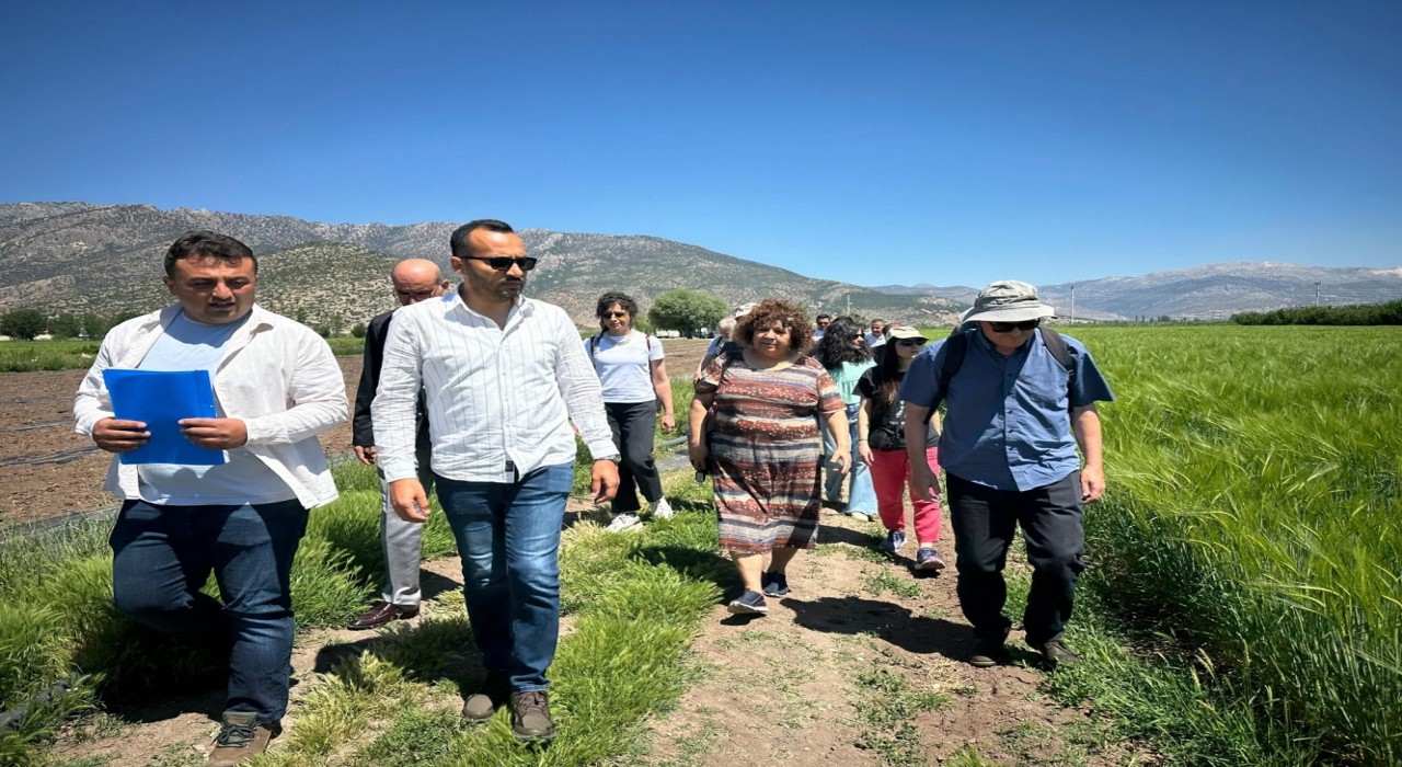 Cezaevlerinde AB projesi kapsamında organik tarım eğitimi