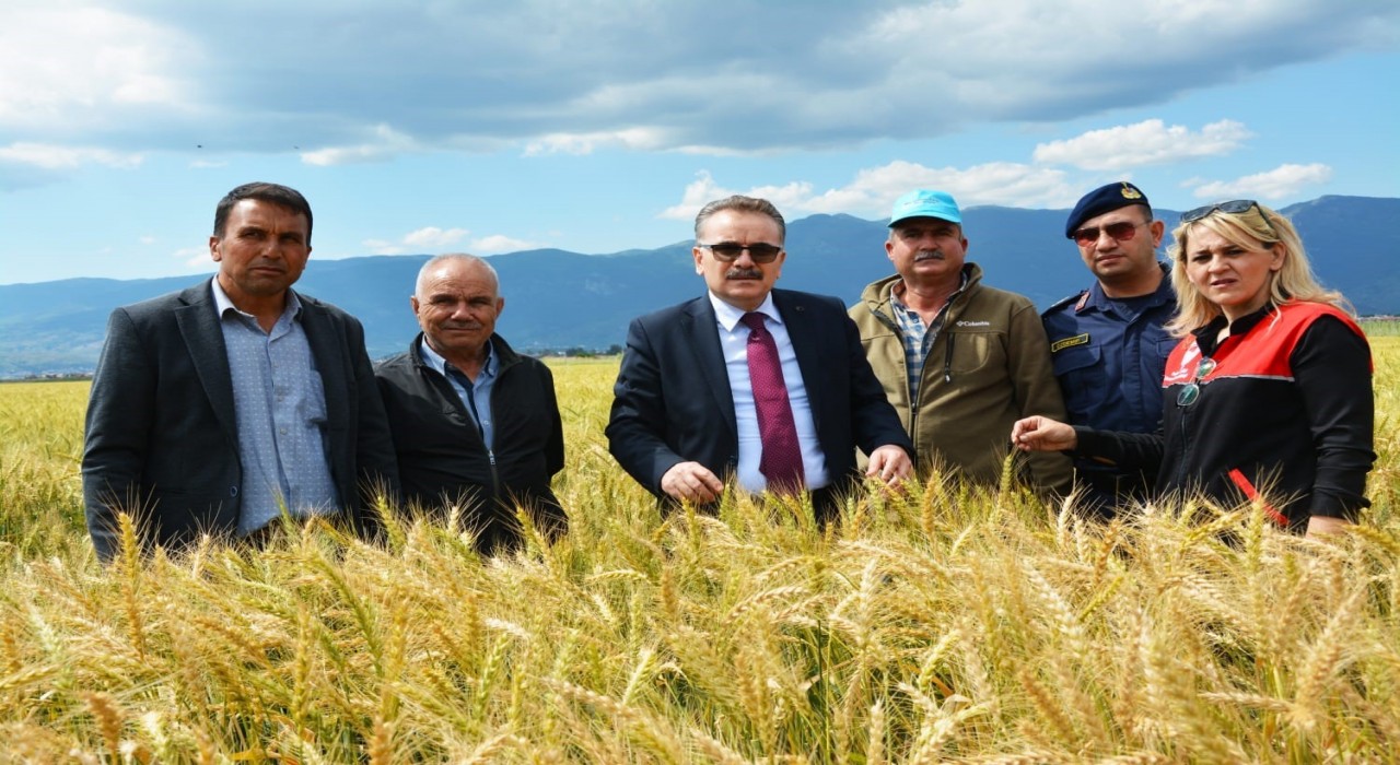 Çiftçiler Gününde üretim coşkusu Çıkrıkçıda yaşandı