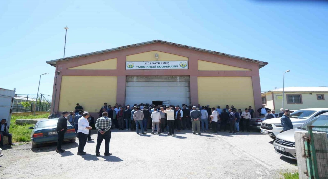 Çiftçiye 6,5 milyon TLlik fide desteği