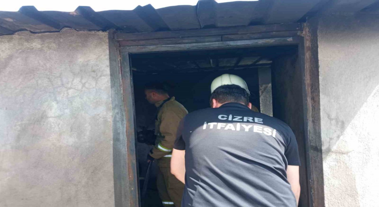 Cizrede odunlukta çıkan yangın paniğe neden oldu