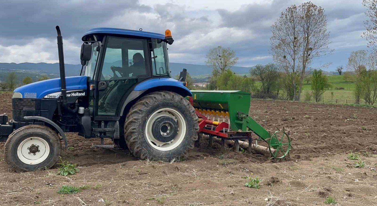 Çölyak hastalarının vazgeçilmezi karabuğday toprakla buluştu
