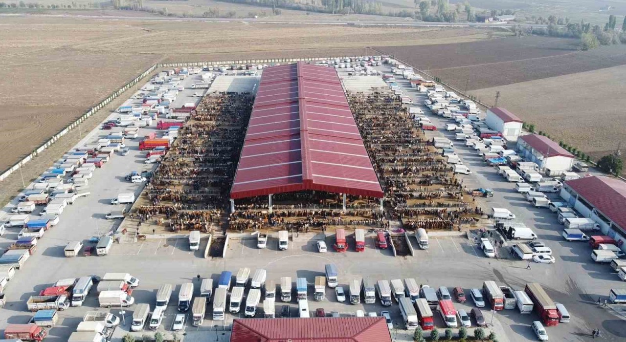 Çoruda kurban pazarı yarın açılıyor