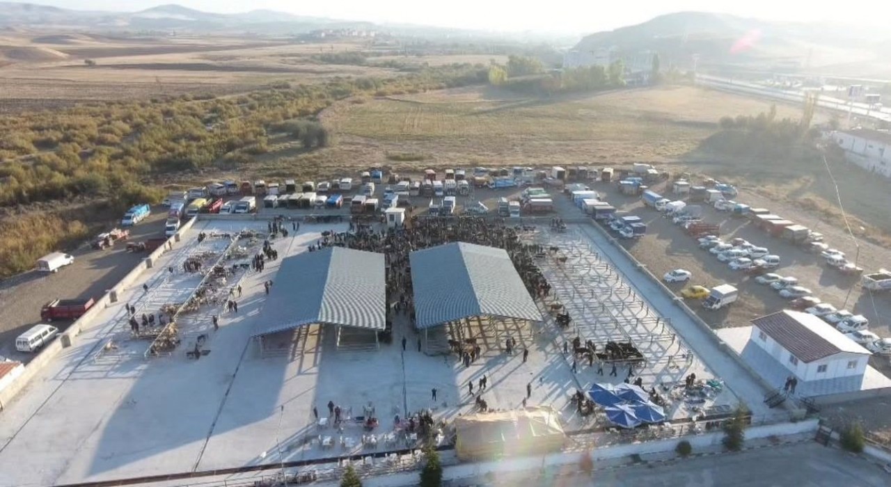 Çorumda şap hastalığı tespit edilen köy karantinaya alındı, hayvan pazarı kapatıldı