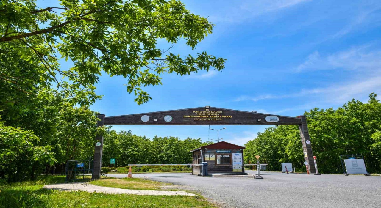 Danamandıra Tabiat Parkı yaza hazır