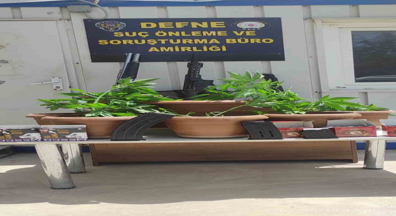 Defnede saksı içerisine ekili 19 kök Hint keneviri bitkisi ele geçirildi