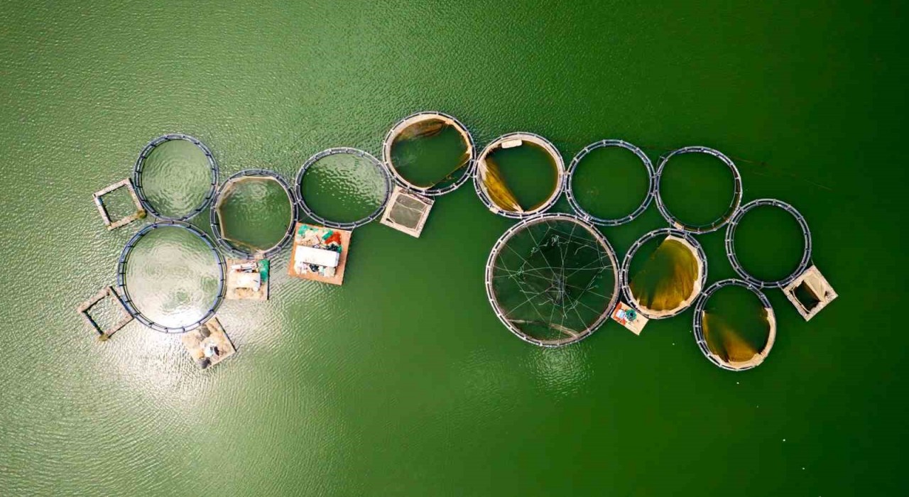 Denizi olmayan Manisadan dünya sofralarına somon ihracatı