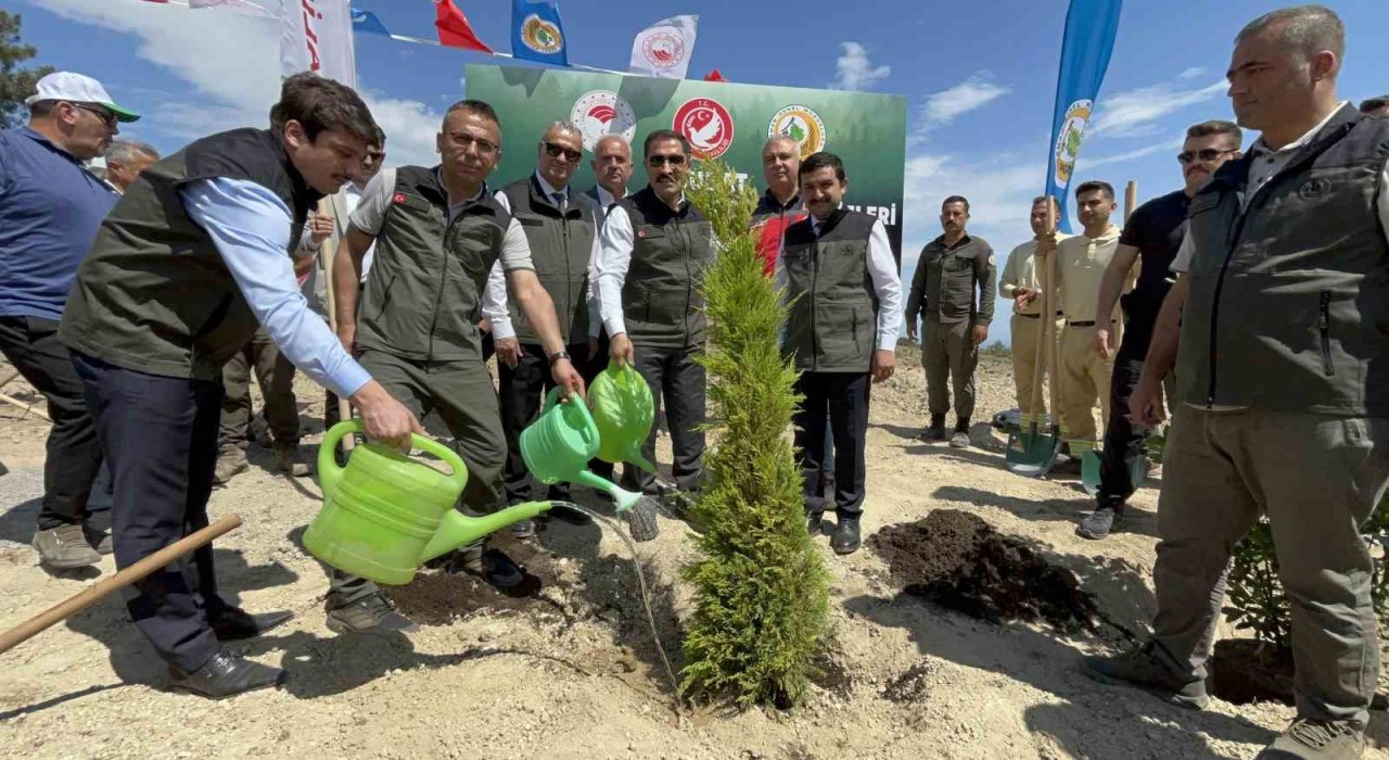 Deprem şehitleri için binlerce fidan toprakla buluştu