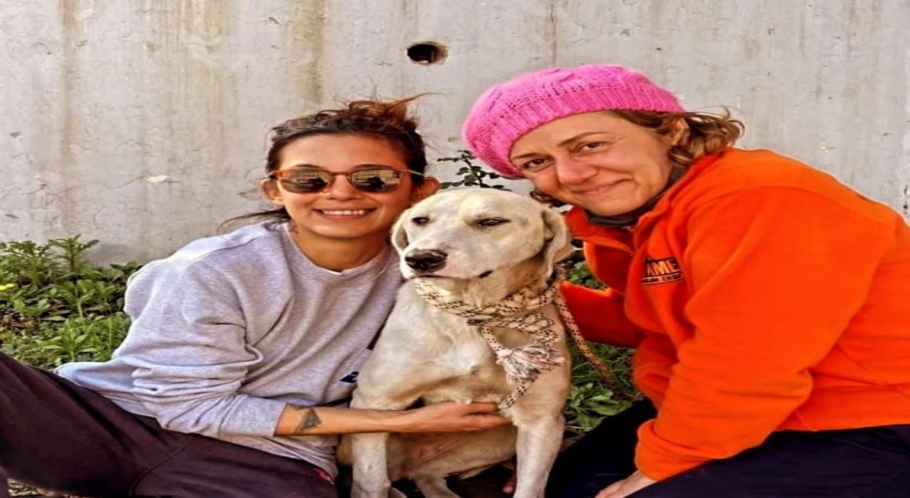 Depremde kurtarılan köpek, Datçadaki yeni hayatına devam ediyor