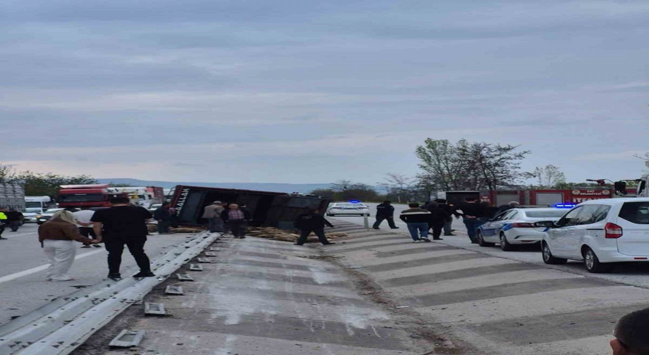 Devrilen kamyonda 53 koyun telef oldu