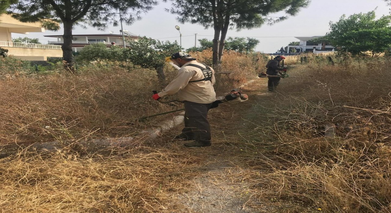 Didim Belediyesinden kuru ot seferberliği