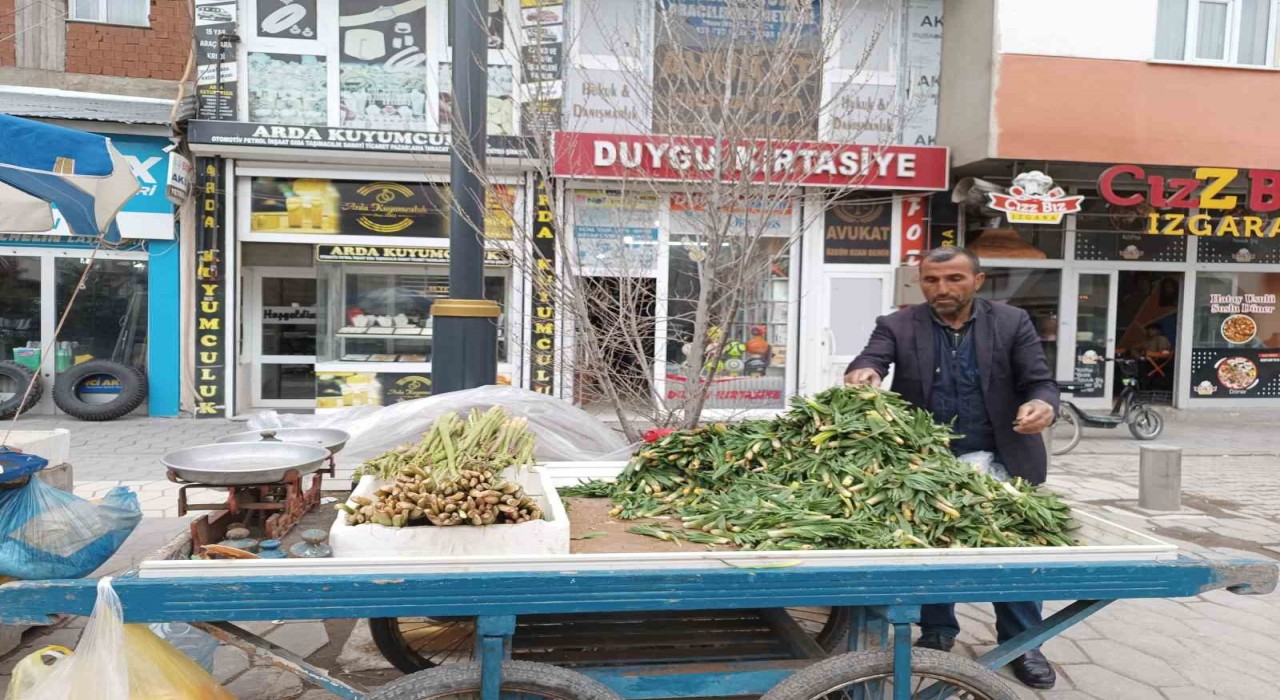 Diyadinde baharın müjdecisi ışkın ve çiriş tezgahları süslüyor