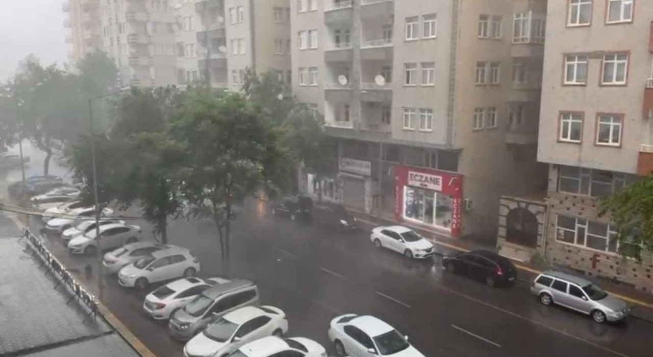 Diyarbakırda sağanak etkili oldu, lüks otomobil devrilen ağacın altında kaldı