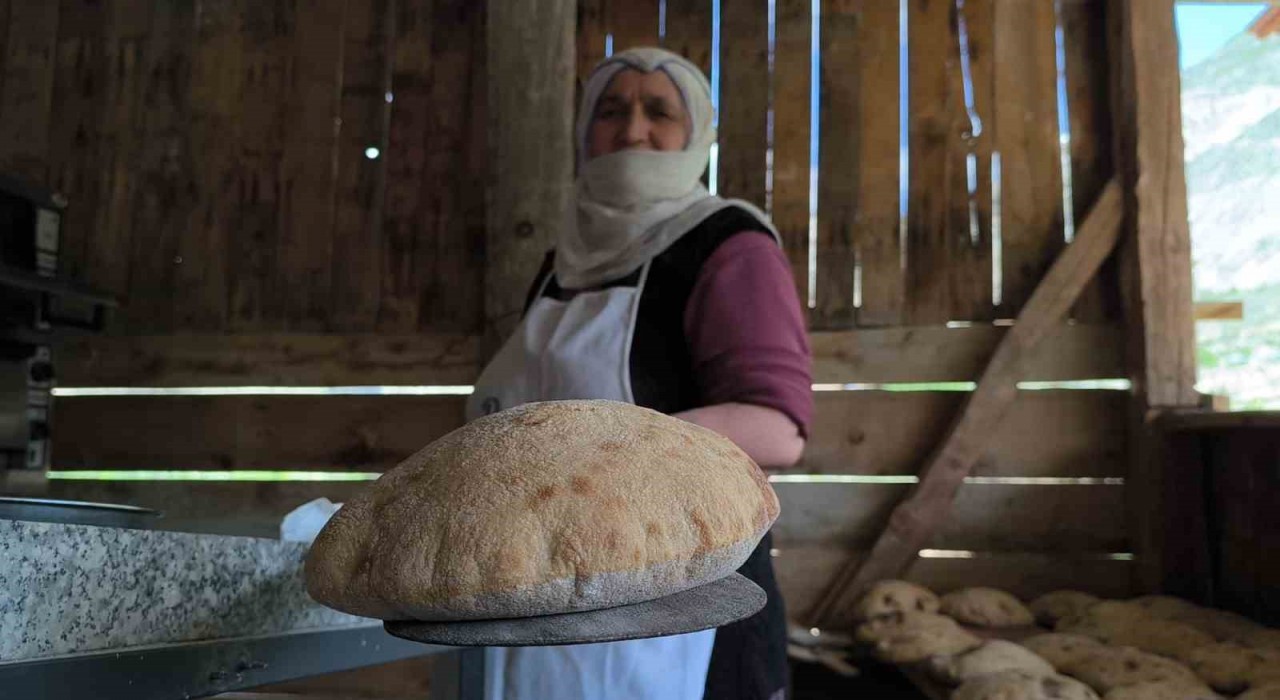 Doğallığın tadı Tortum Şelalesinde