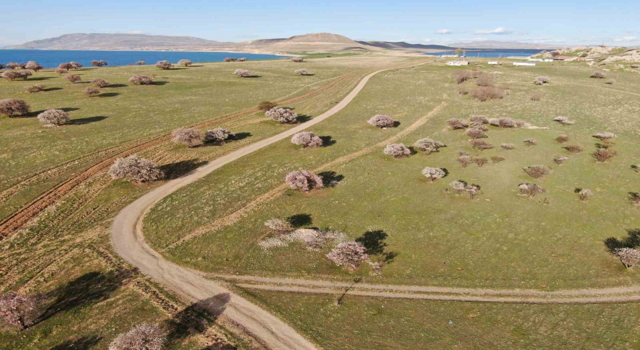 Doğaseverlerin yeni rotası Çarpanak yarımadası