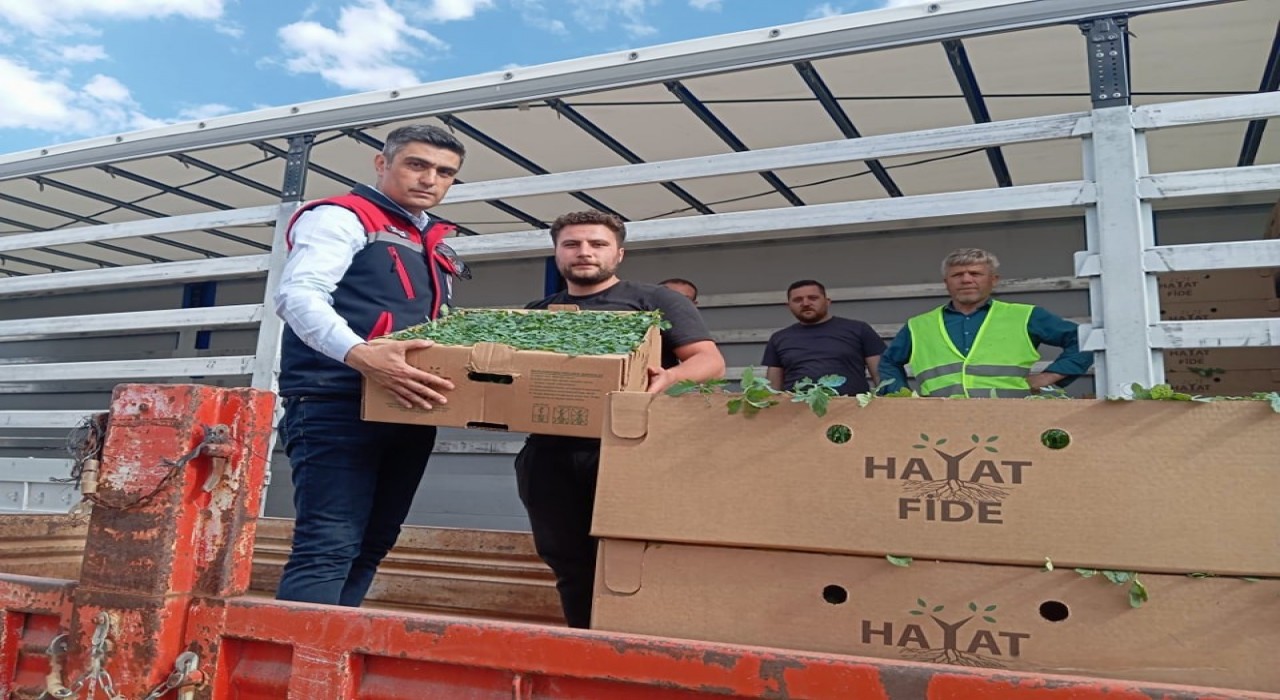 ‘Domates Yetiştiriciliğinin Geliştirilmesi projesi sürüyor