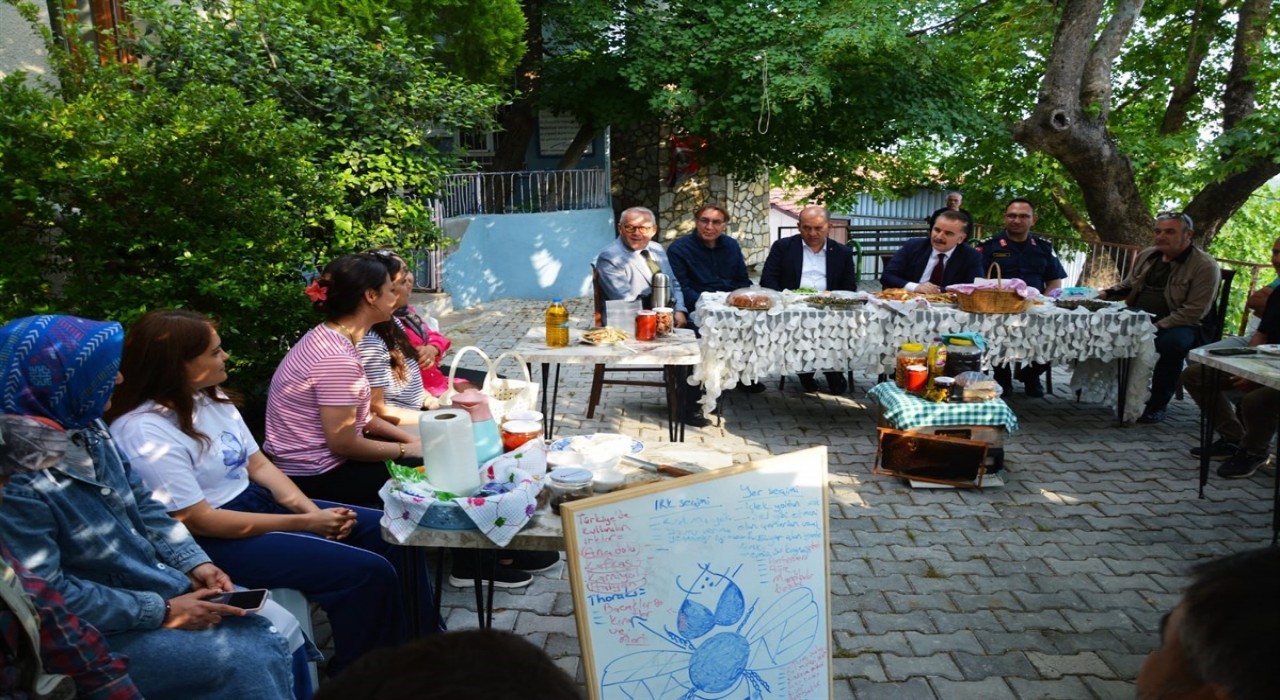 Dünya Arı Gününde Kaymakam Odabaştan anlamlı ziyaret