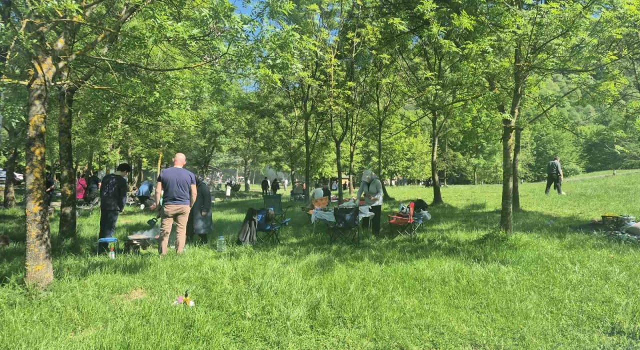 Düzcede güneşi görenler soluğu mesire alanlarında aldı