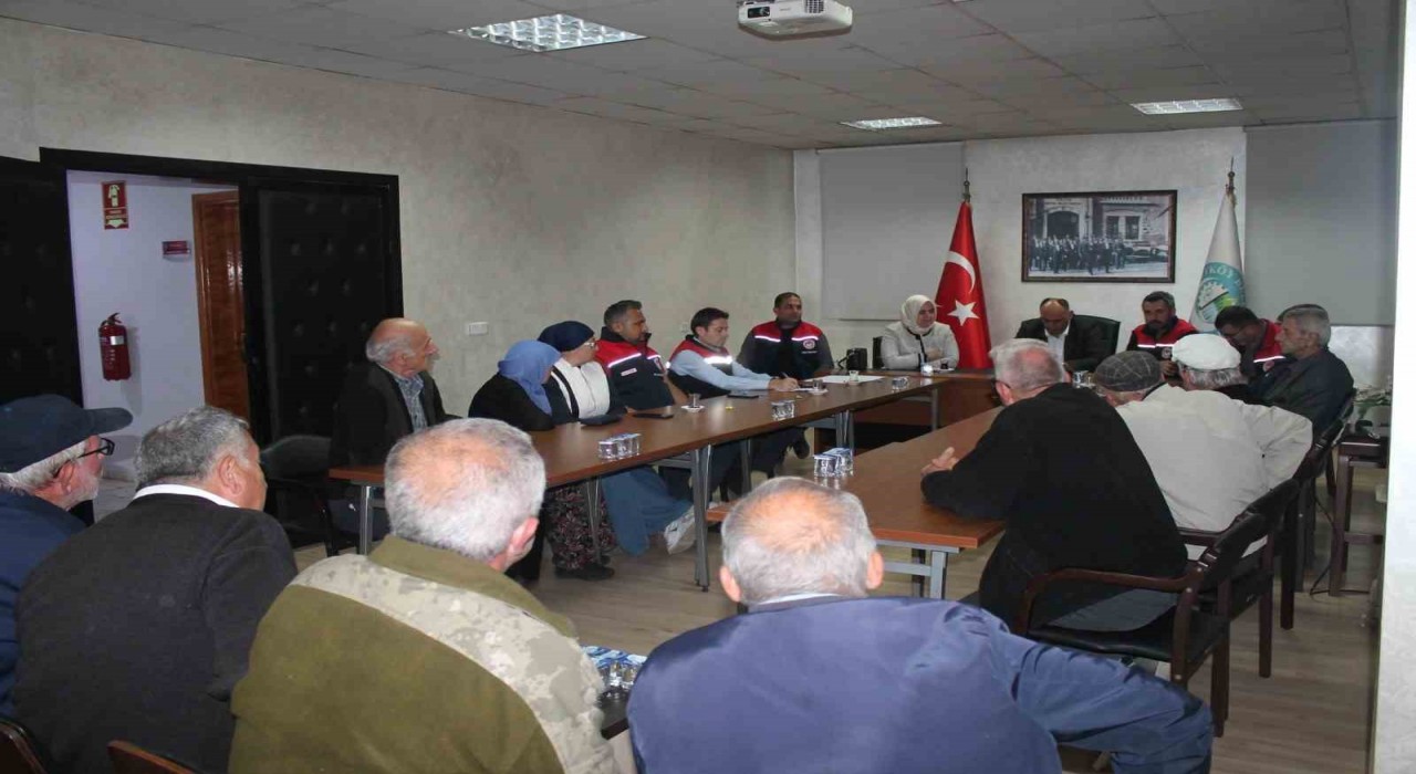 Düzcede kahverengi kokarcayla mücadele sürüyor