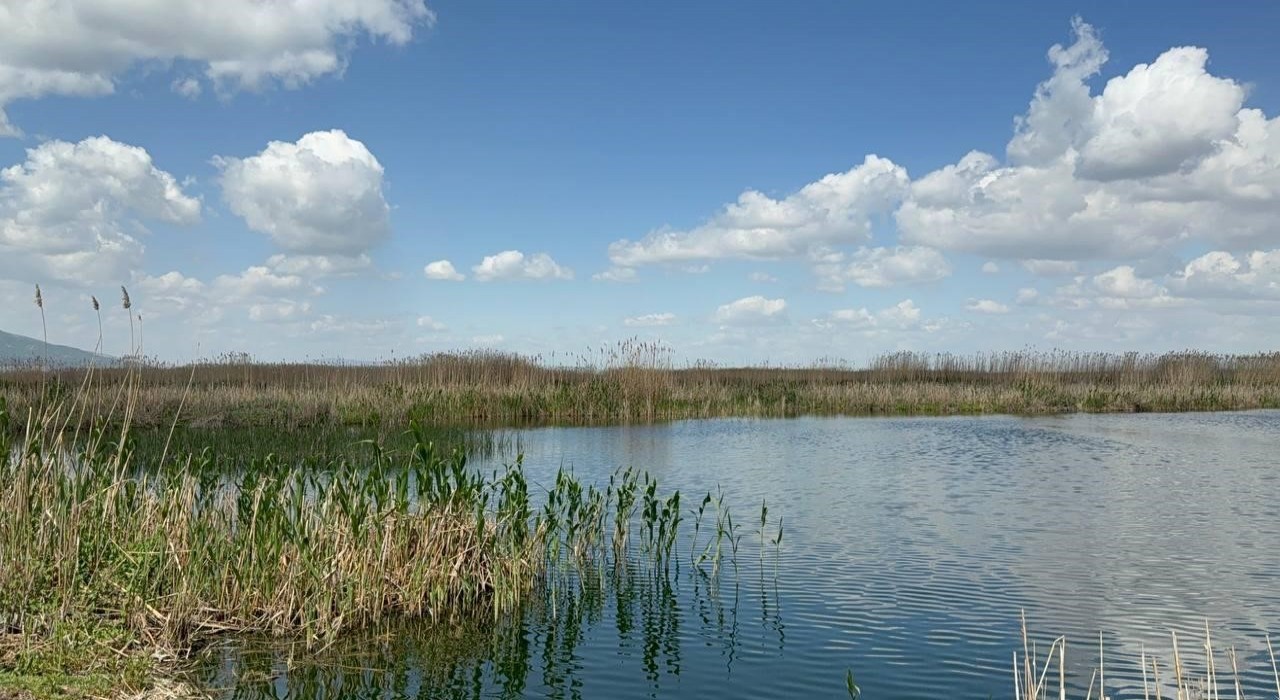 Eber Gölünde azalan su seviyesi endişe verici boyutlara geldi