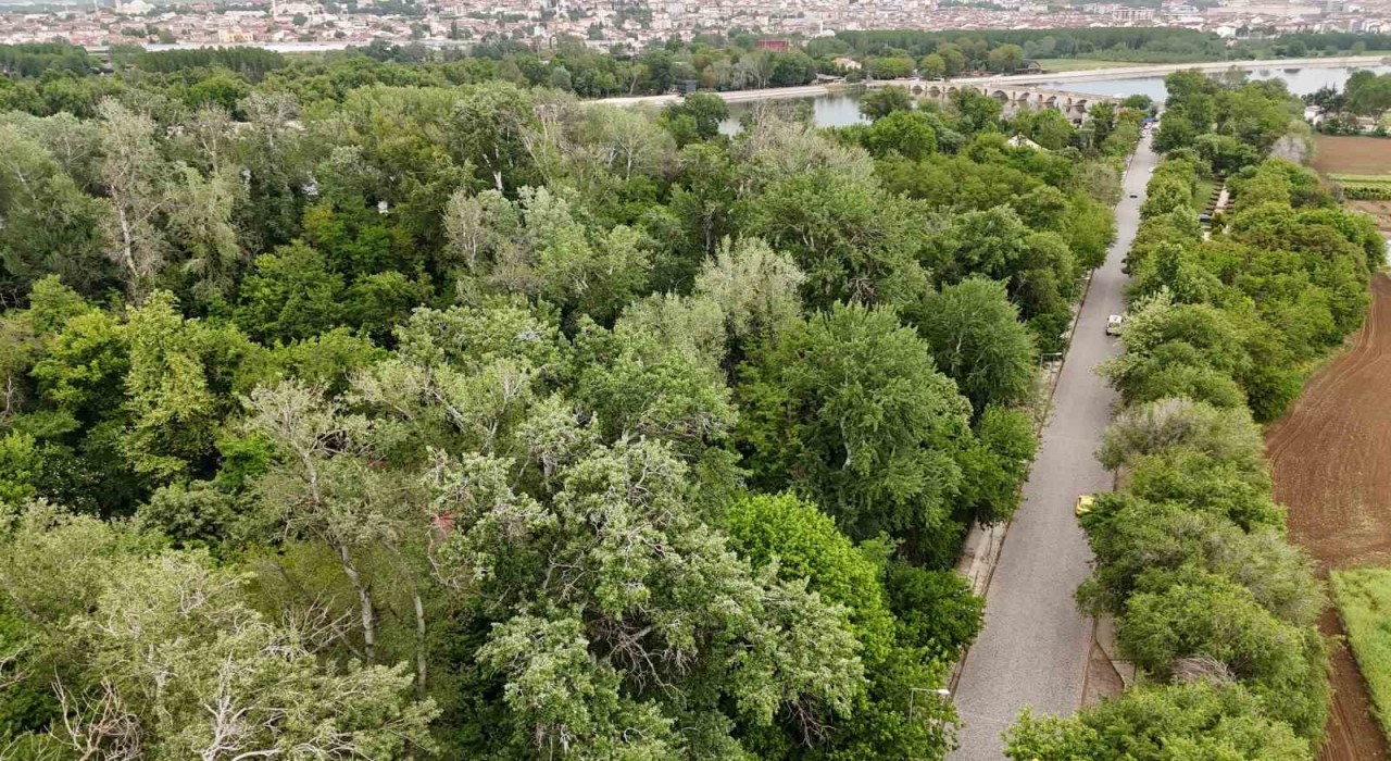 Edirne Millet Bahçesine kavuşuyor