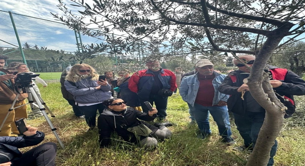 Edremit MYOda zeytin aşılama eğitimi