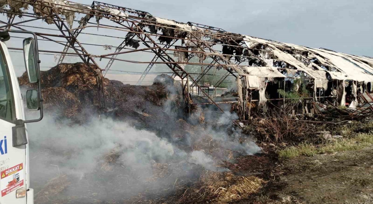 Edremitte çiftlikte çıkan yangın itfaiye ekiplerince söndürüldü
