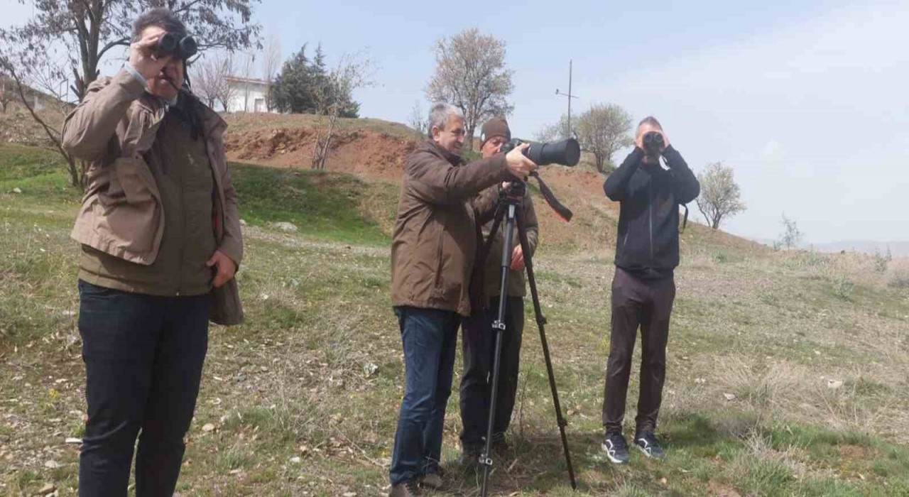 Elazığda güncel kuş yoğunluk haritası çalışmaları