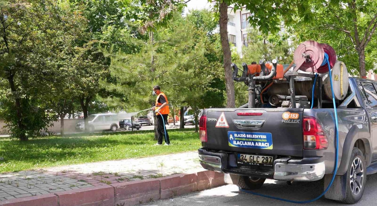 Elazığda ilaçlama çalışmaları sürüyor