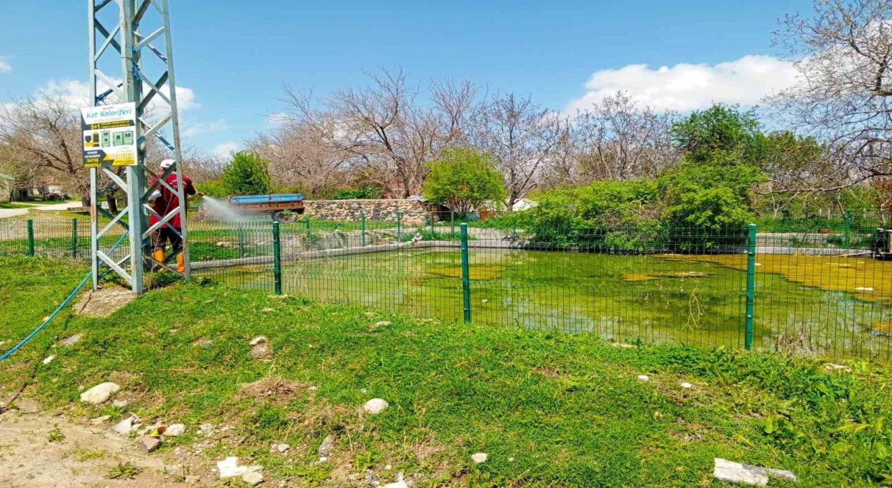 Elazığda larva ilaçlama çalışmaları sürüyor
