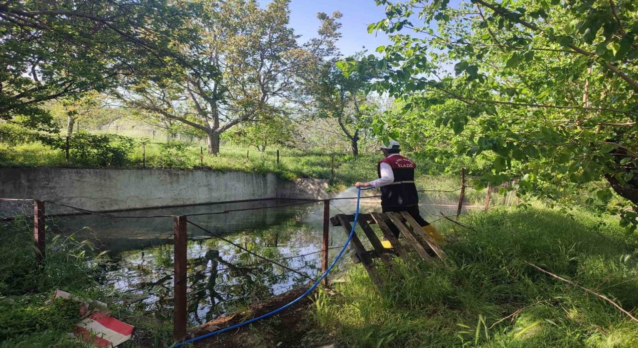 Elazığda larva ile mücadele çalışmaları sürüyor