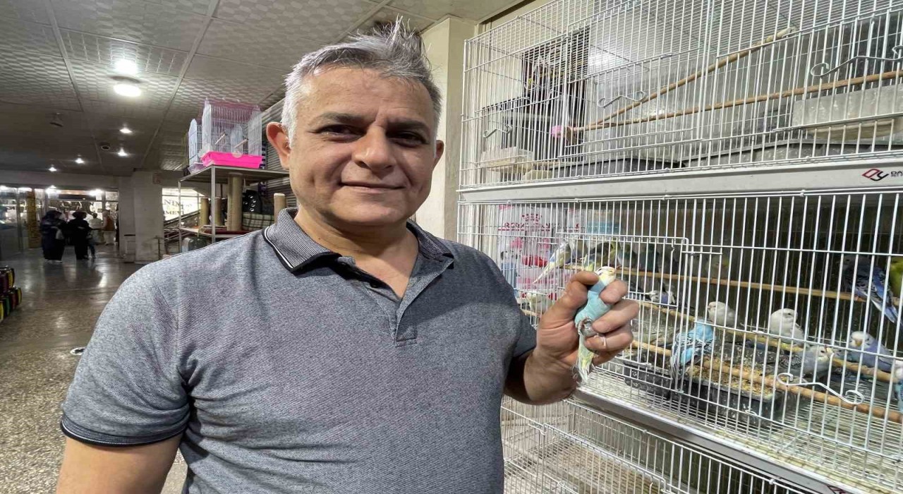 Elazığda muhabbet kuşlarına yoğun ilgi