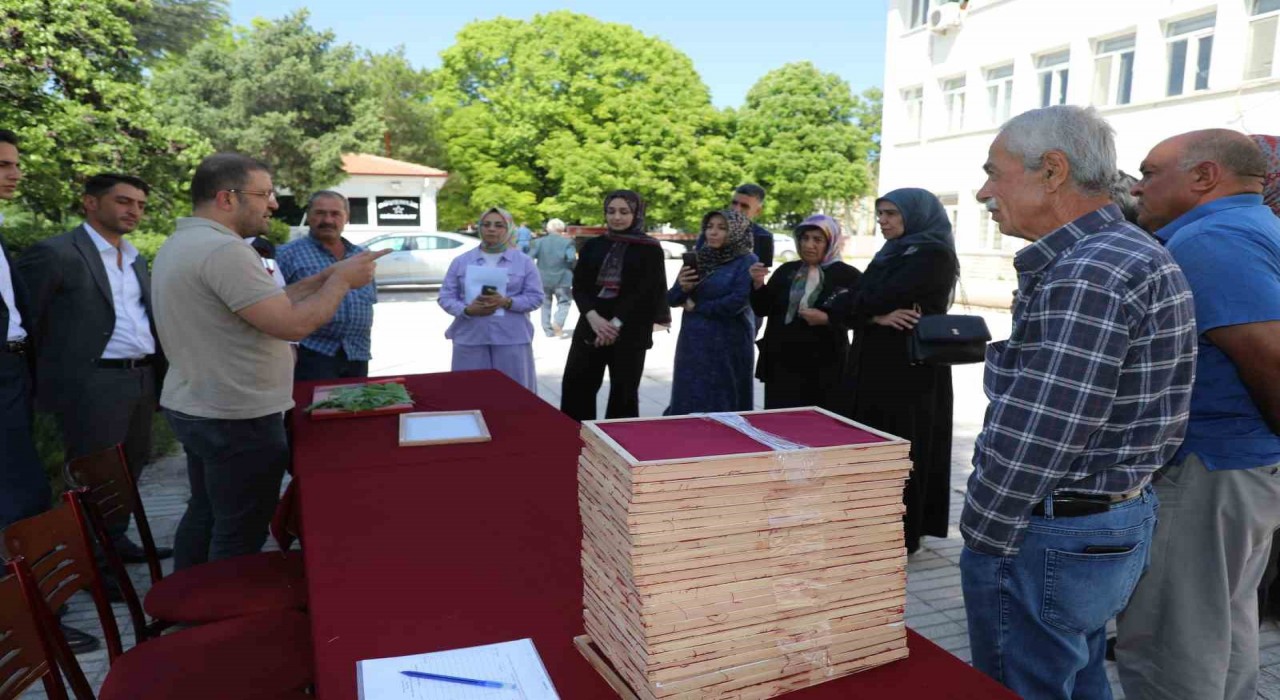 Elazığda üreticilere ipek böceği larvası dağıtıldı