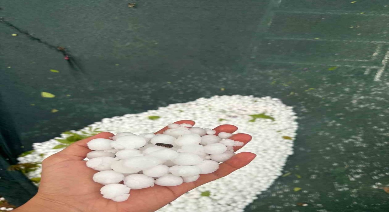 Elazığın yüksek kesimlerinde dolu etkili oldu