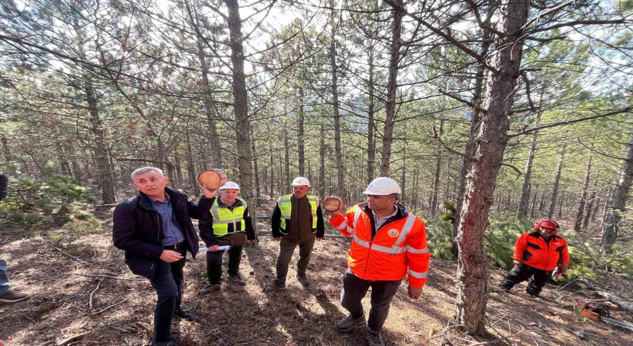 Emet Orman İşletme Müdürlüğünde silvikültür ve işletme pazarlama eğitimi